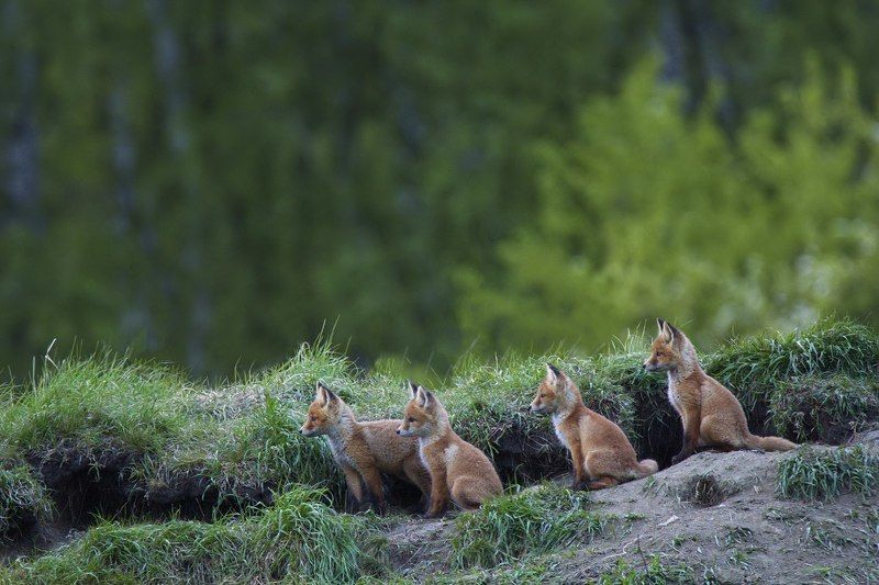 Когда мама ушла в магазин фото превью