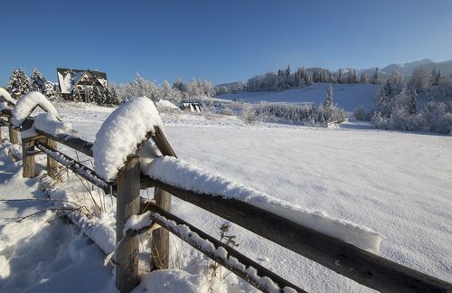 Снежная