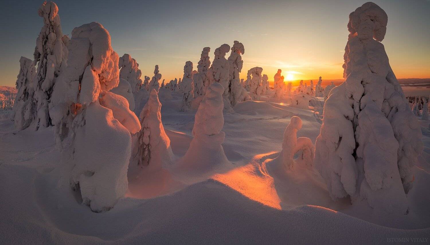 Пейзаж,закат,россия,солнце,свет,деревья,красиво,кольский,север, Виталий Истомин