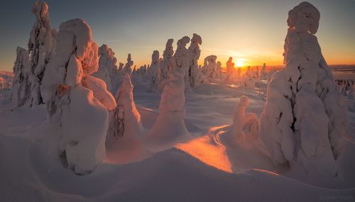 Лучик света