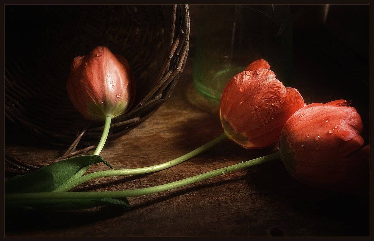 , Александр Хромеев