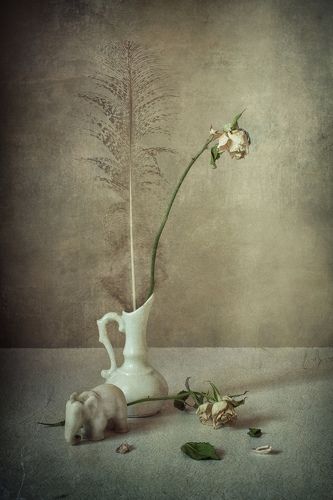 Про слона и розы