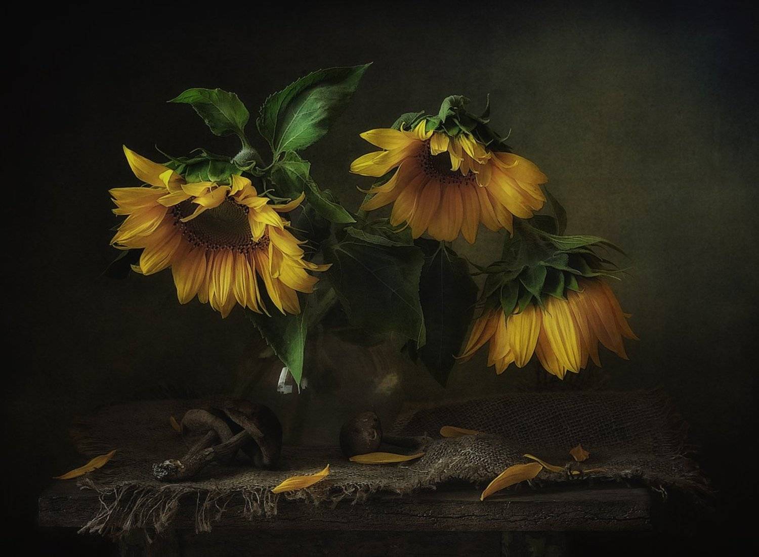 натюрморт,подсолнухи,грибы, Наталия