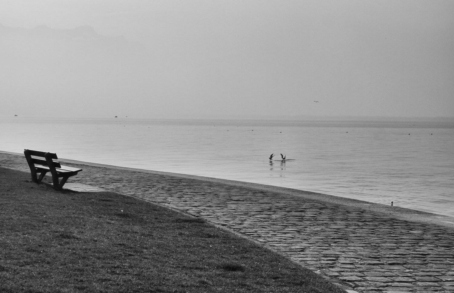 Monochrome, Black and white, Switzerland, Vevey, Loneliness, Lake, Elena Beregatnova