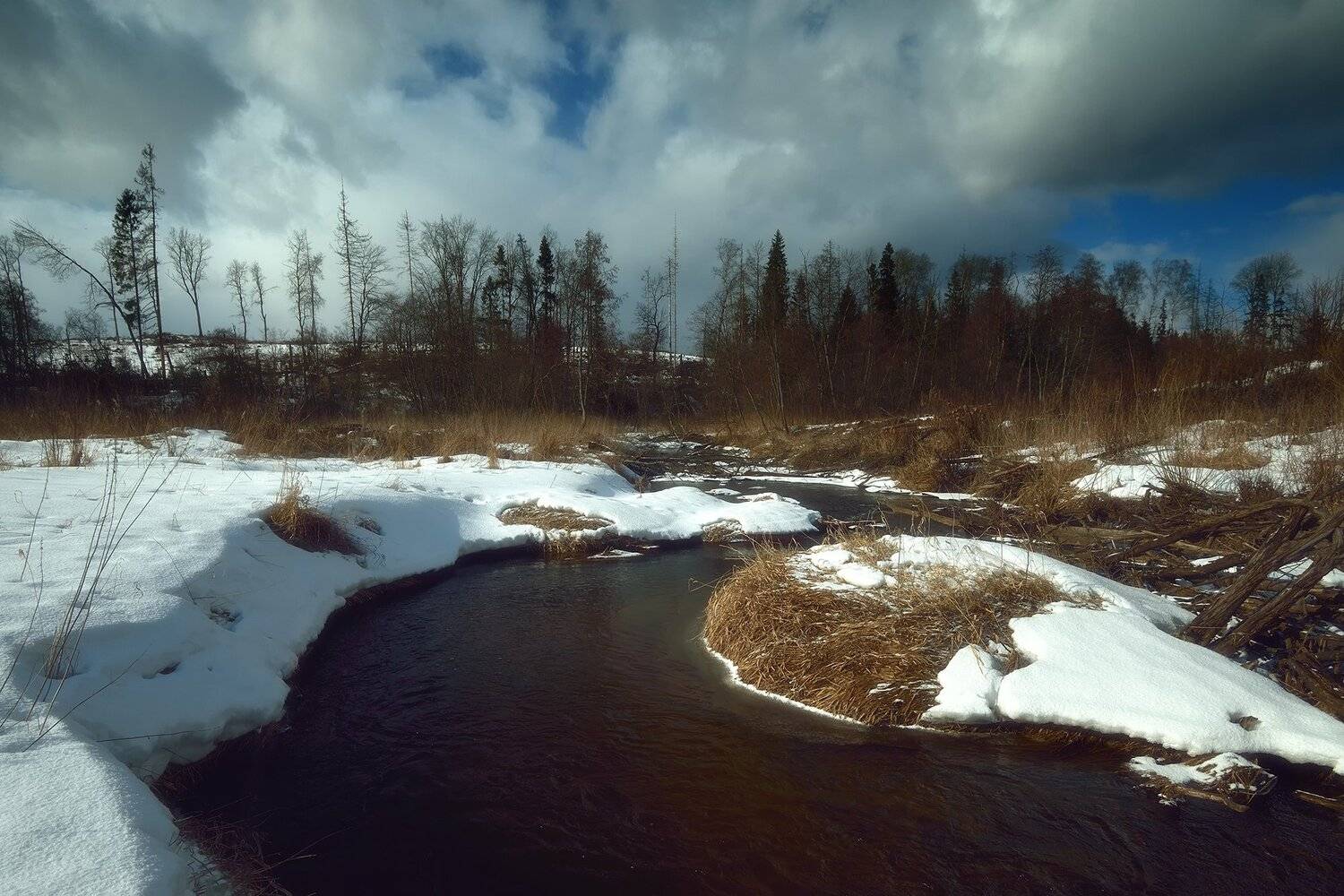 , Алексей Никонов
