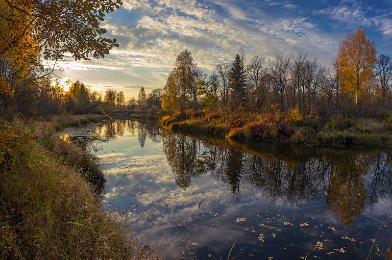 скромная золотая осень... фото превью