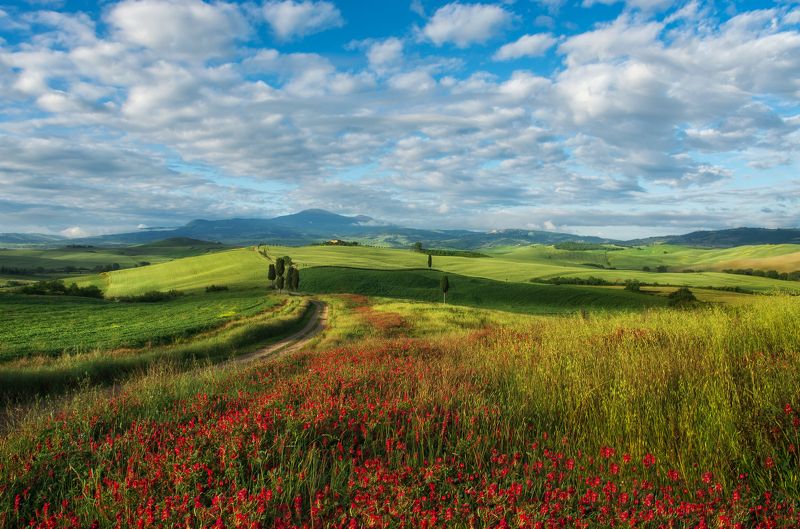 Bella Val d\'Orcia фото превью