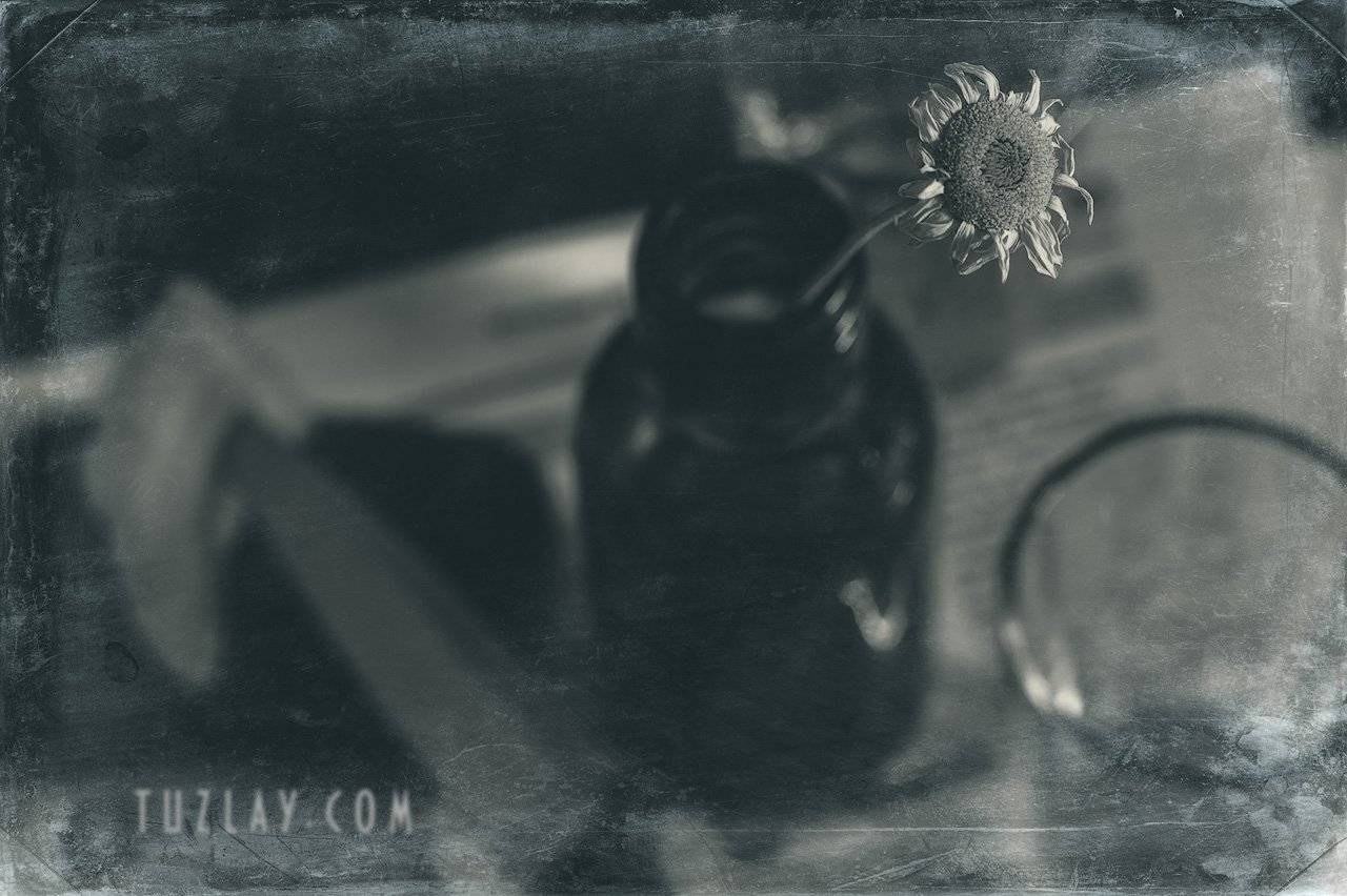 black & white, Владимир Тузлай