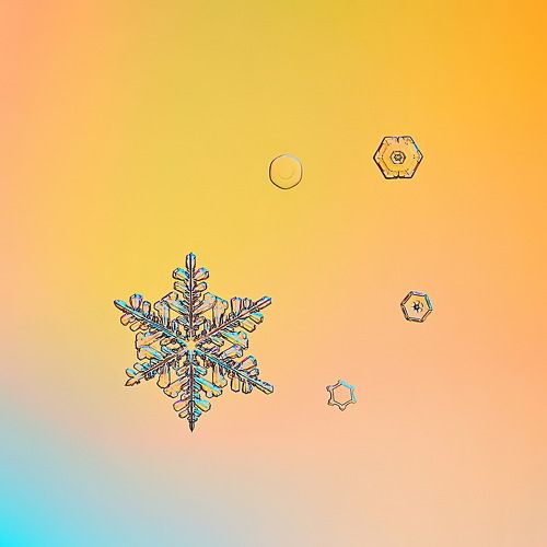 Разноцветная зима