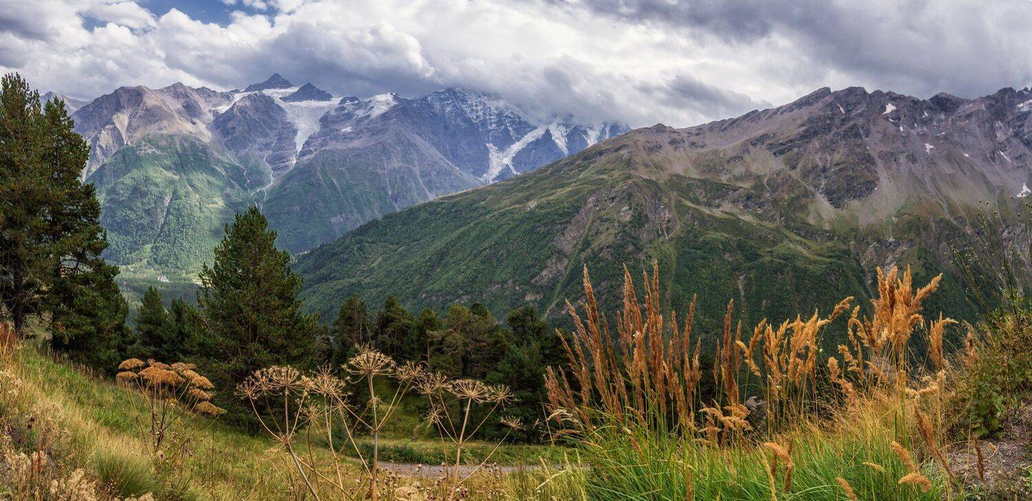 , Игорь Мелекесцев