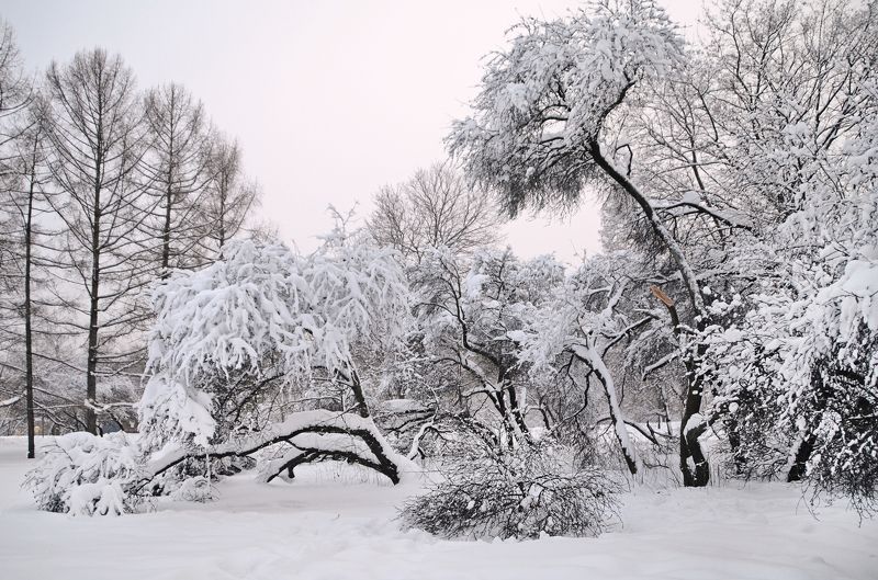 *** фото превью