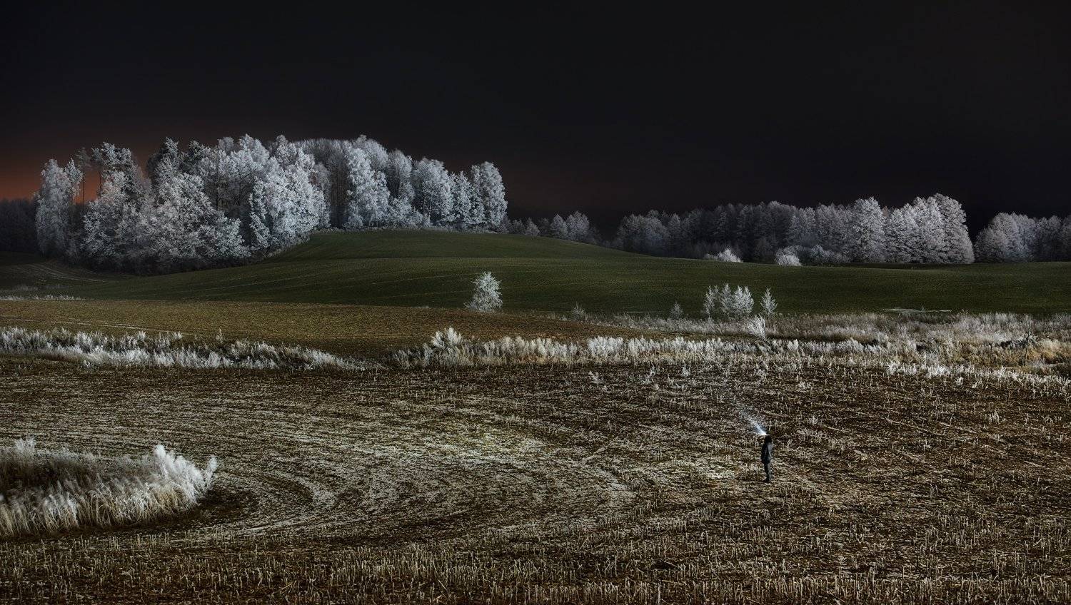 night, meadow, hoarfrost, landscape, winter, poland, Rafal