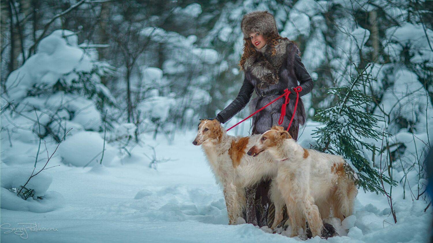 девочка, лес, снег, зима, собака, борзая, сказка, рехов, сергейрехов, rekhov, sergejrekhov, Сергей Рехов
