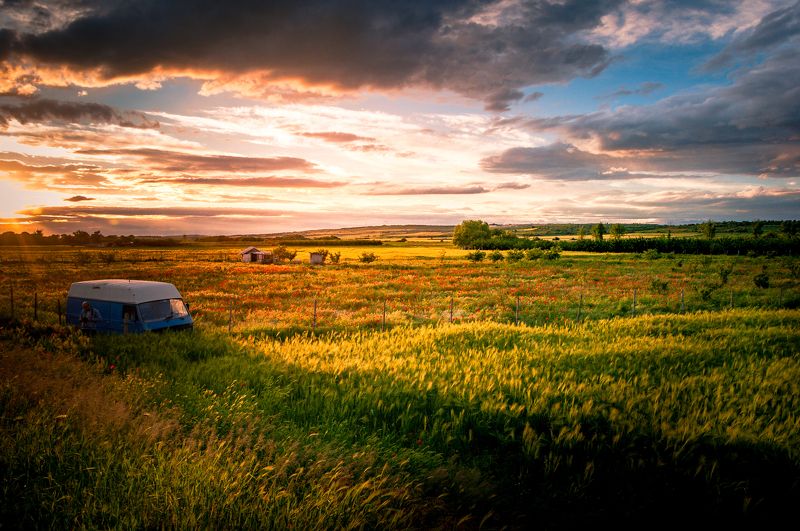 nikon d90 ... фото превью