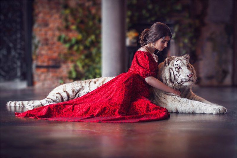 фото превью