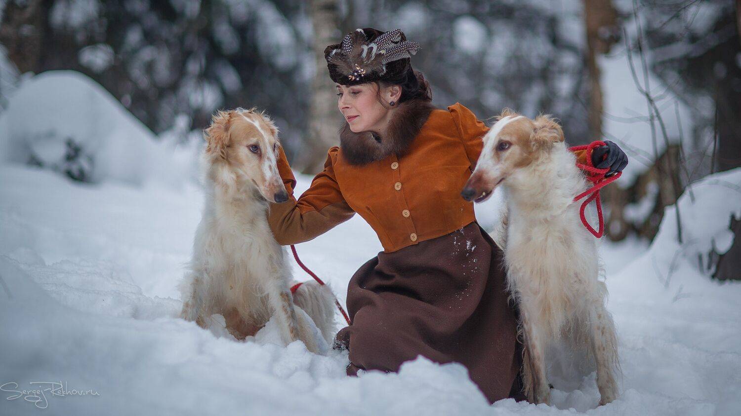 девушка, лес, парк, портрет, собака, борзая, рехов, сергейрехов, rekhov, sergejrekhov, Сергей Рехов