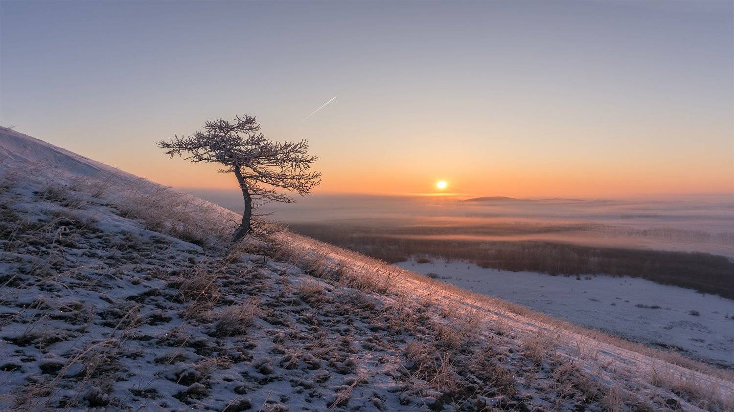 рассвет, восход, лучи, Леонид Максименко