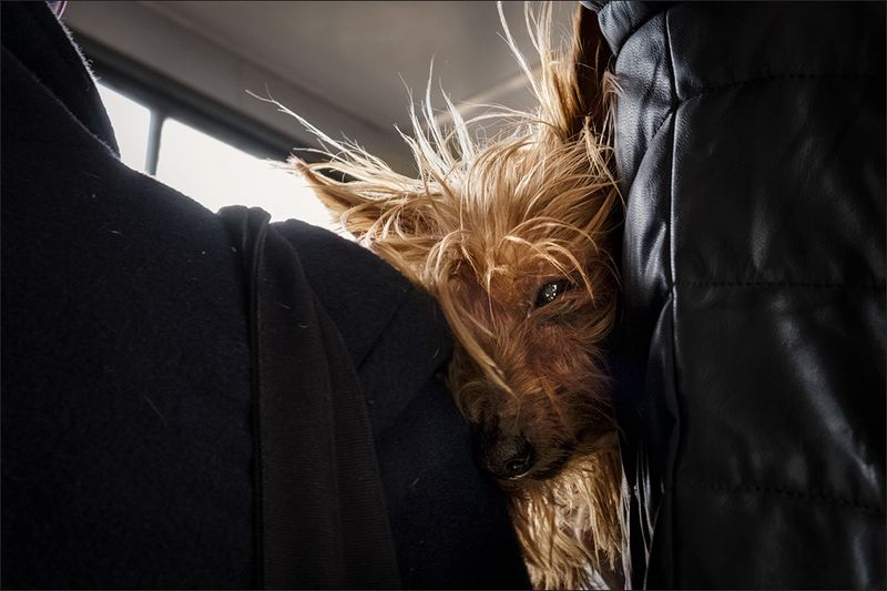 Веселое утро понедельника :) фото превью