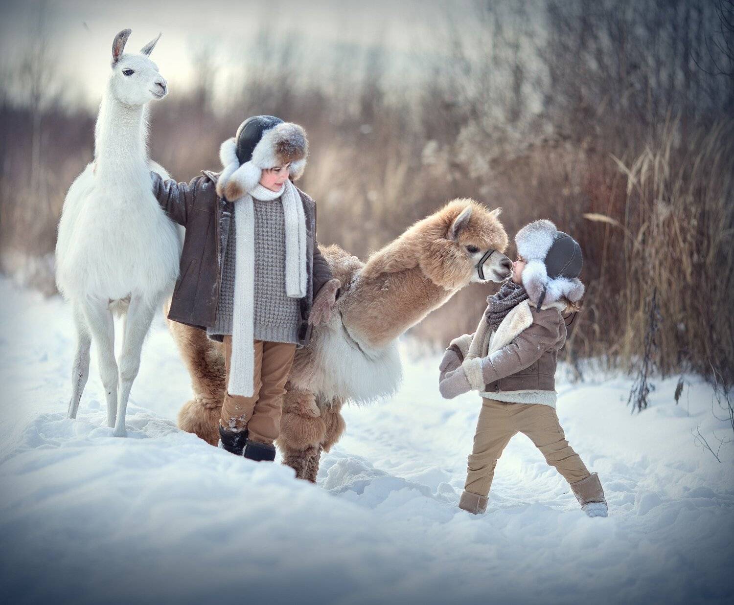 , Диана Аникеева