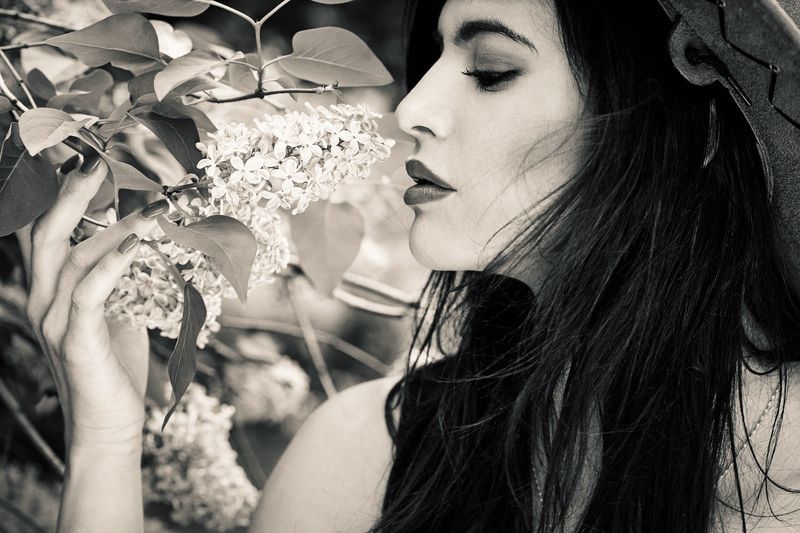 Запах сирени фото превью