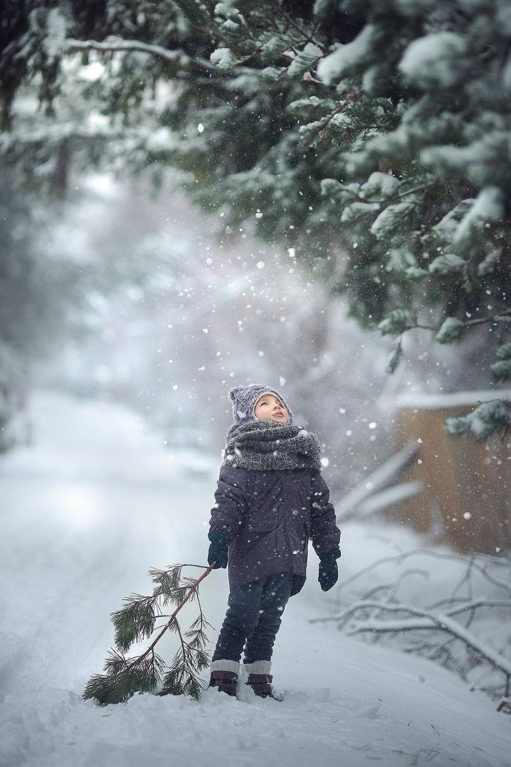 , Александра Черемохина