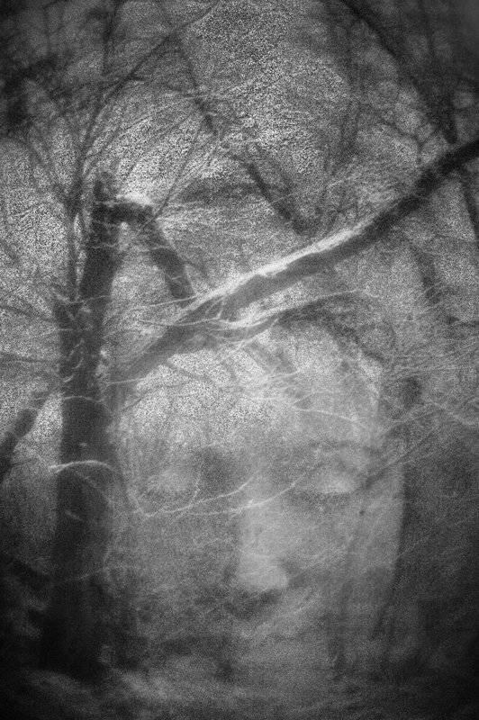 монокль, 35мм, Татьяна Аверина