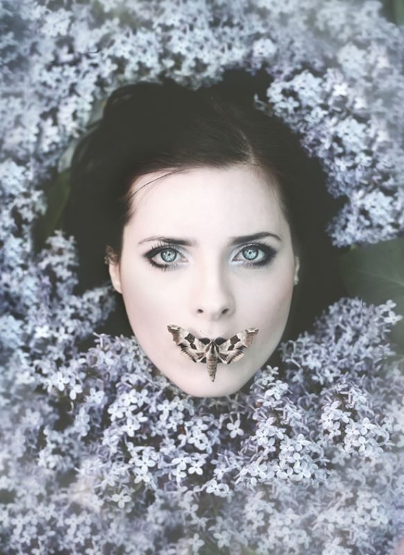 lilac, spring, portrait, conceptual, fairytales, moth *** фото превью