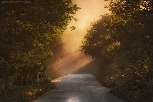 Солнечная Тоскана