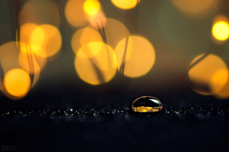 макро, капли, боке, абстракция,macro, drops, bokeh, abstraction в мире боке фото превью
