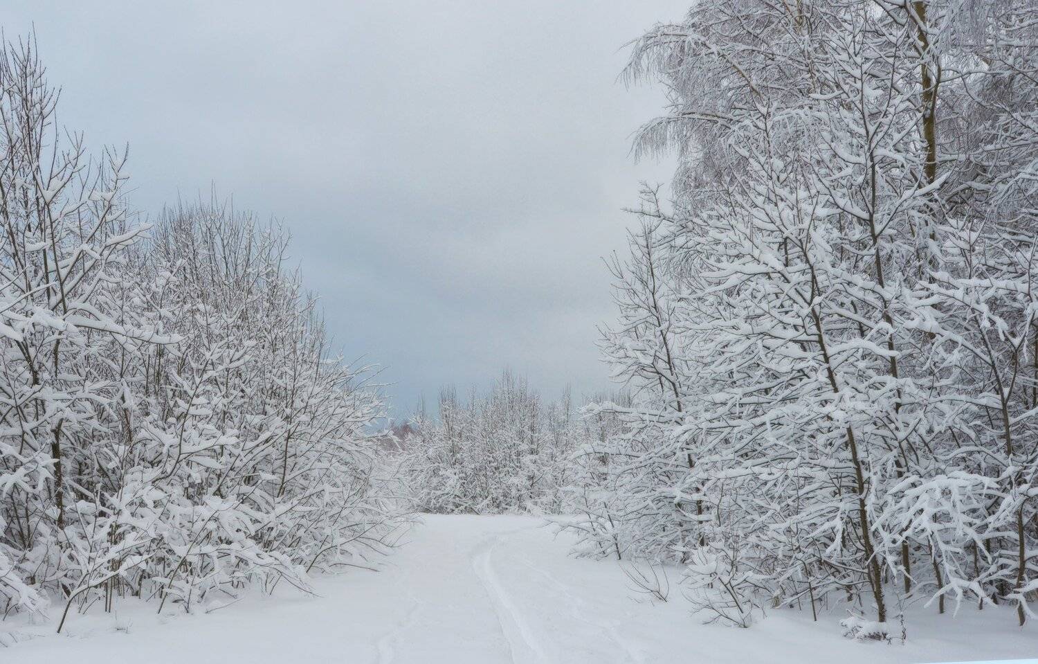, Сергей Седов