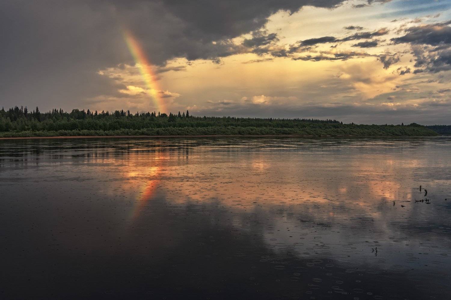 лето, дождь, река, радуга, облака, отражения, лес, вода, Ра Вера