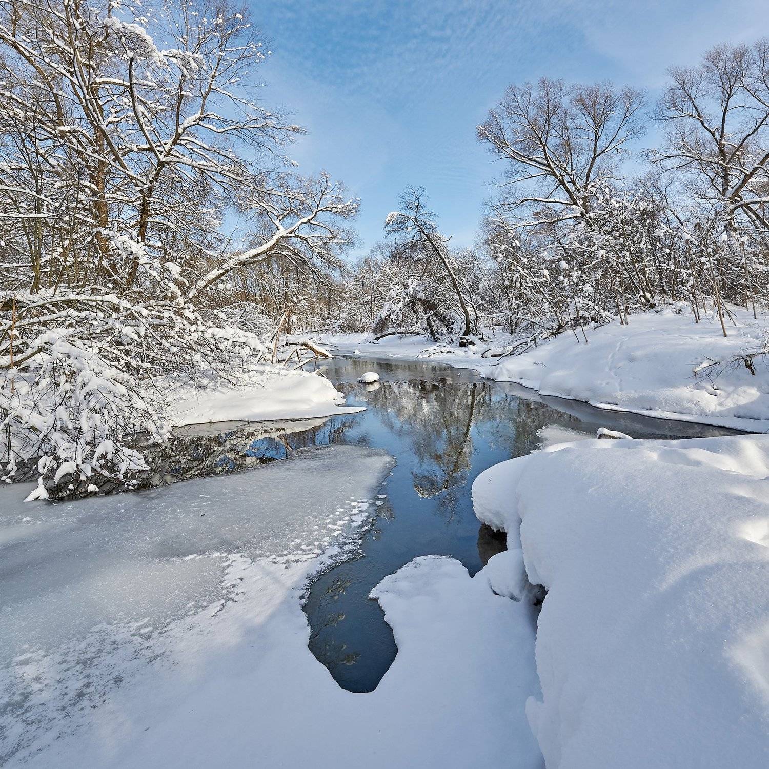 , Бурцев Дмитрий