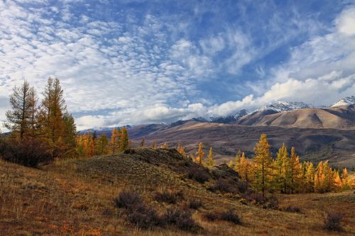 На Курайских холмах