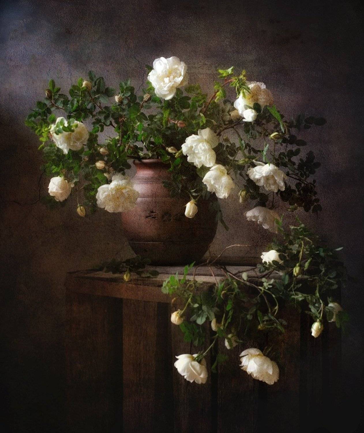 натюрморт,розы,шиповник,цветы, Наталия