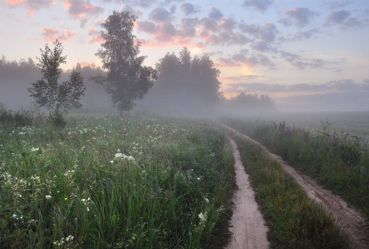 , Макеев Алексей