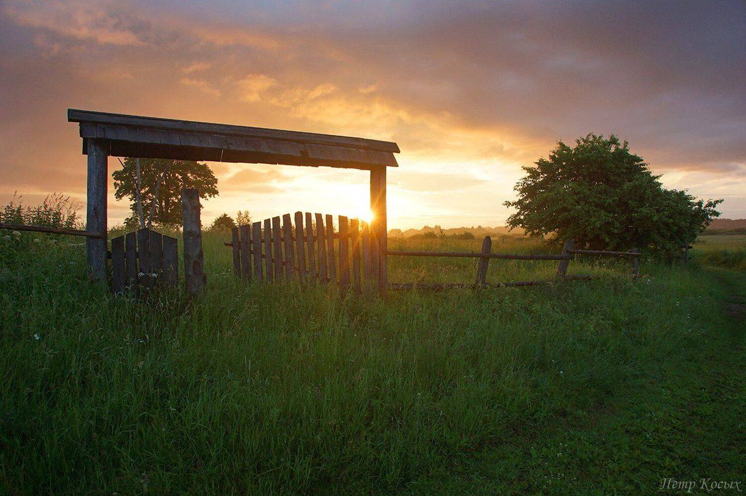 рассвет, Петр Косых