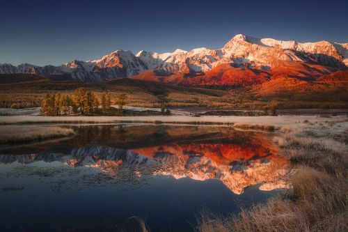 Куркурек на рассвете
