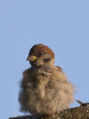 Важно не то, кто ты есть, а кем ты себя ощущаешь