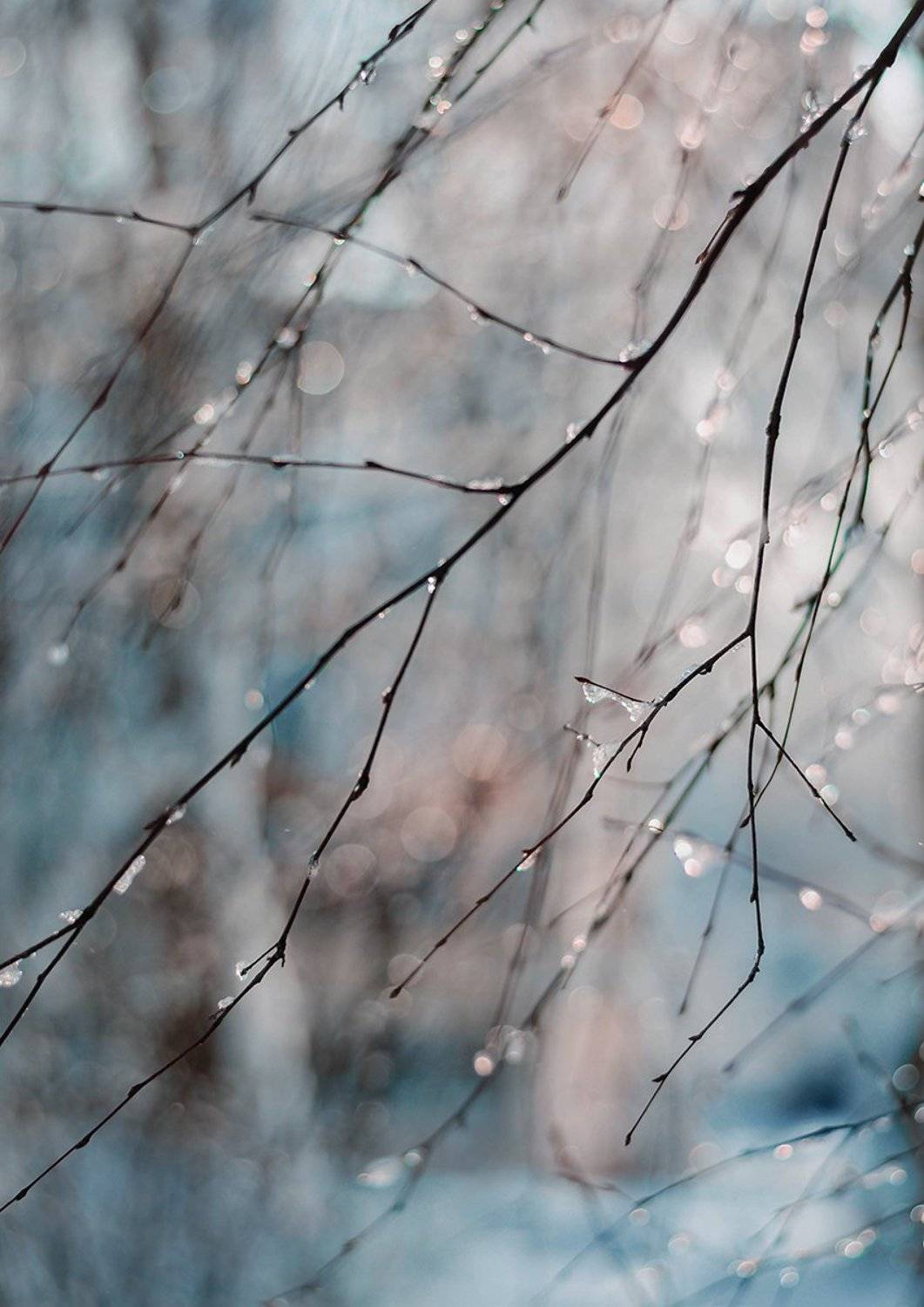 , Чернякова Анна