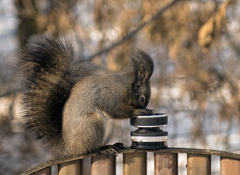 Свет мой , стёклышко-скажи ! фото превью