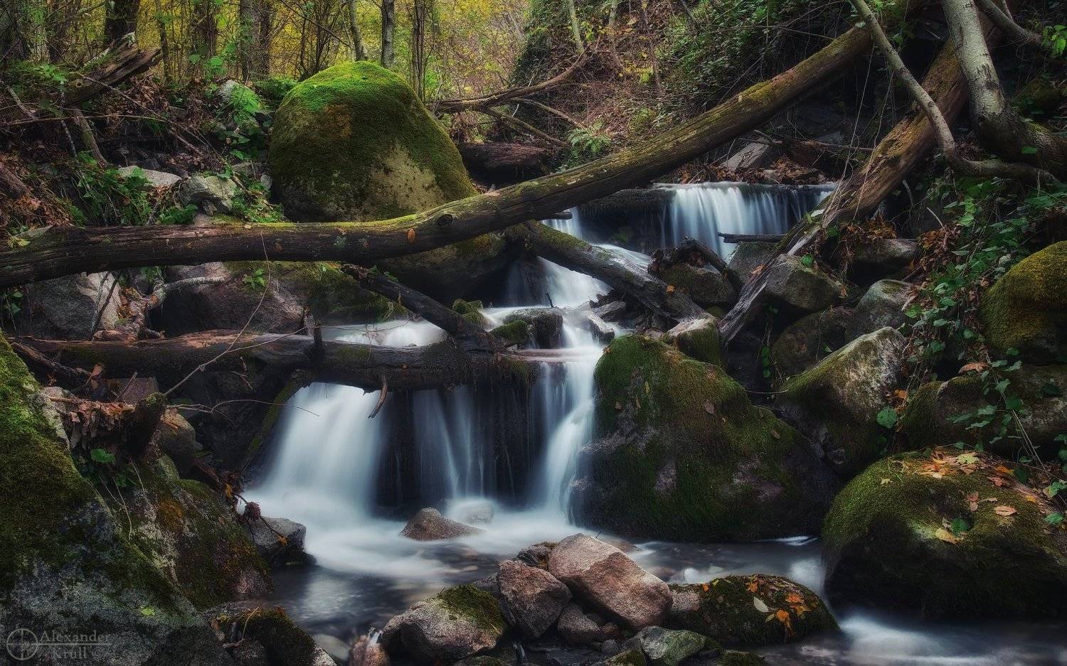 , Александр Круль