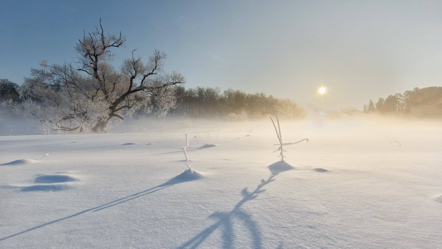 , Николай Андреев