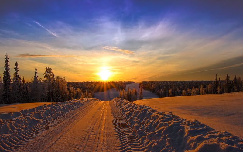 север,природа,лес,зима,краски,печора,коми,дороги,красота́ ,снег,north,nature,forest,winter,paint,pechora,komi republic,beauty ,snow Зимник фото превью