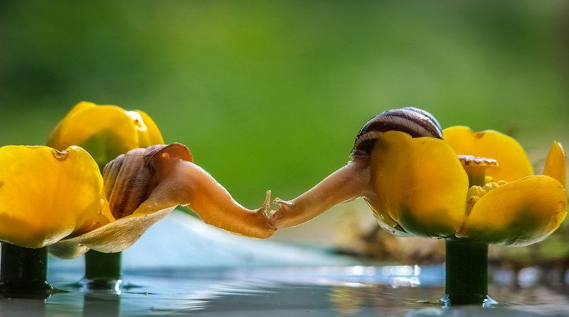 Одно дыханье на двоих фото превью