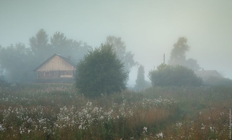 Туман в деревне фото превью