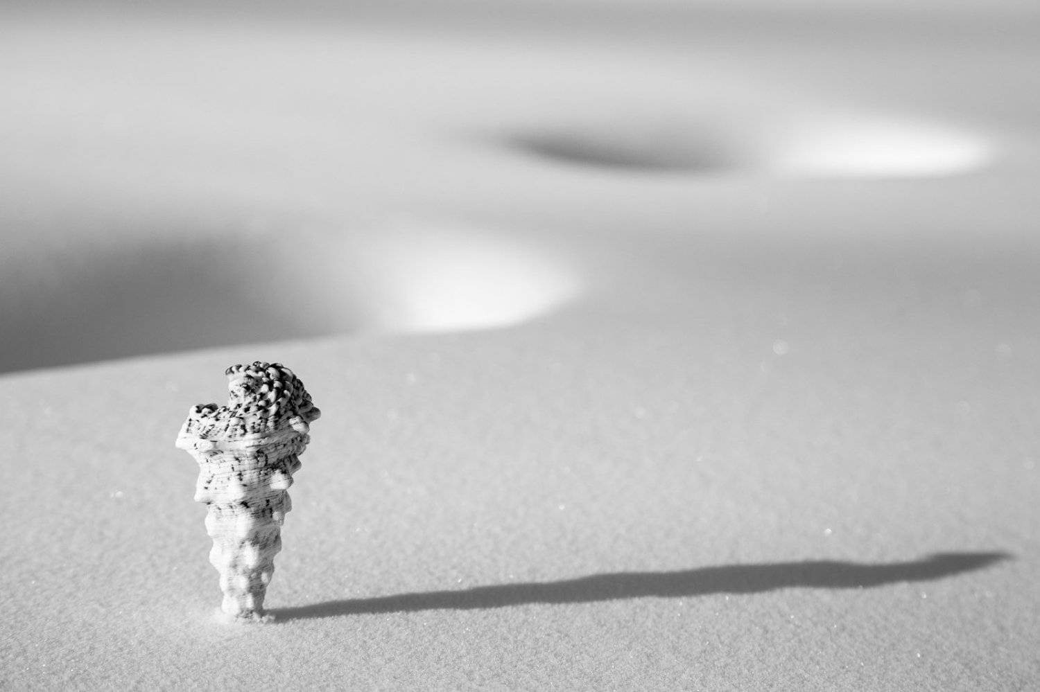 , Александр Андреев