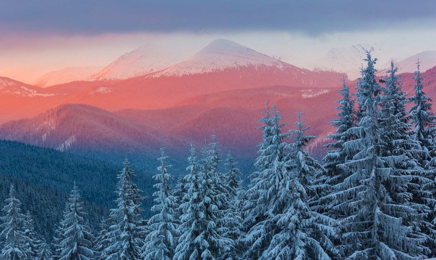 , Александр Подрез