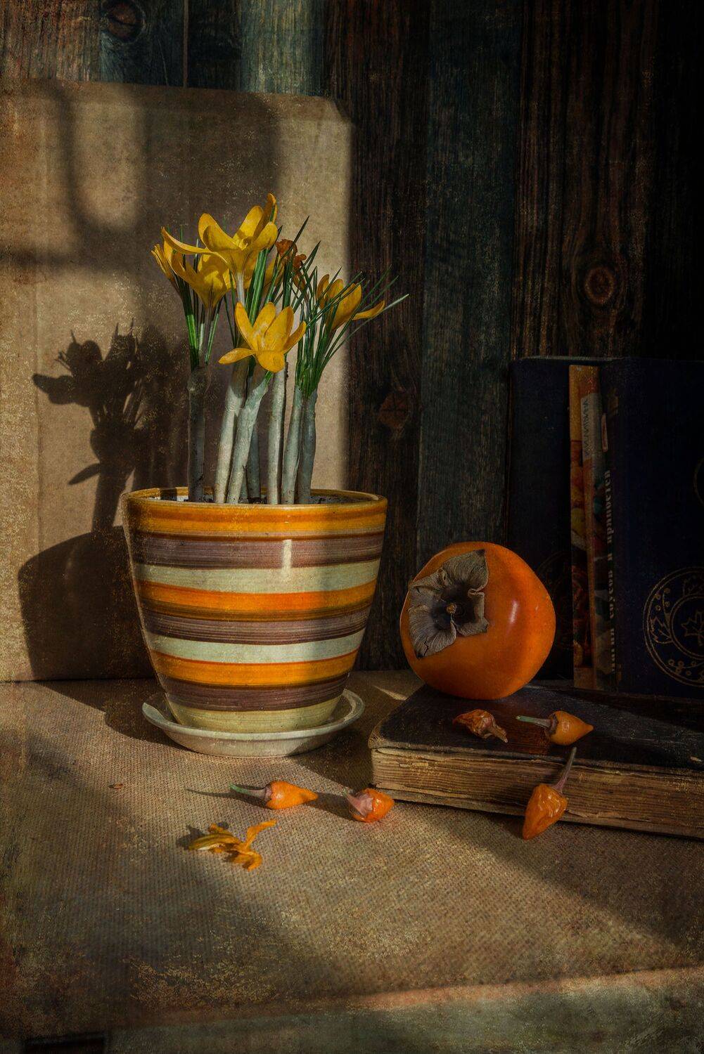 , Ирина Данилова