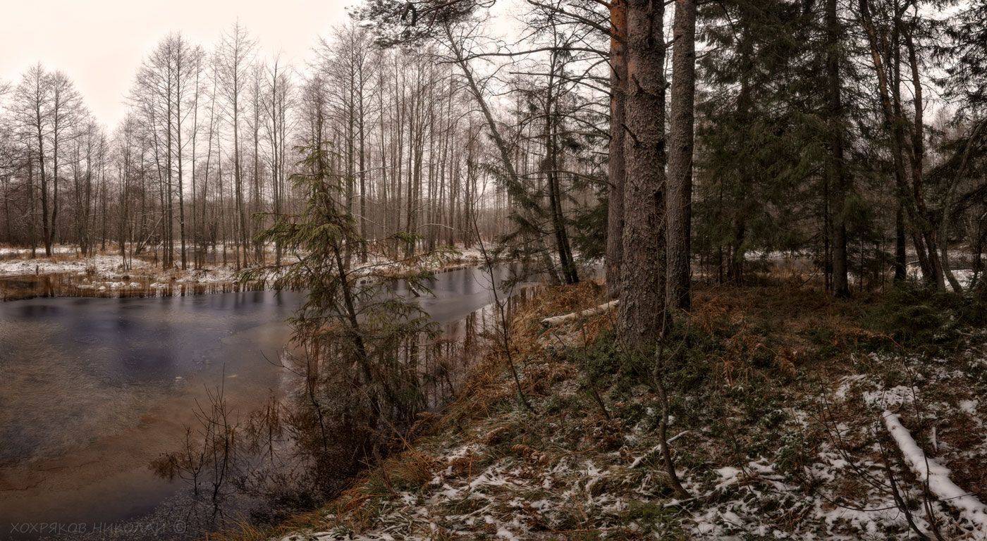 , Хохряков Николай