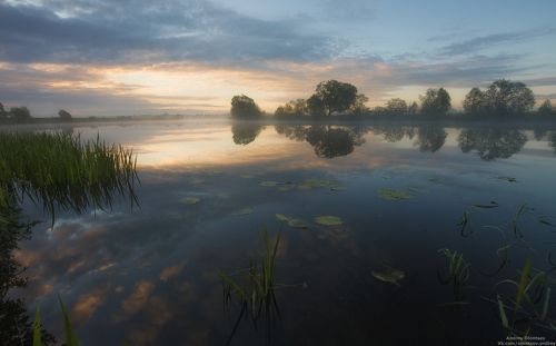 Золотой час.